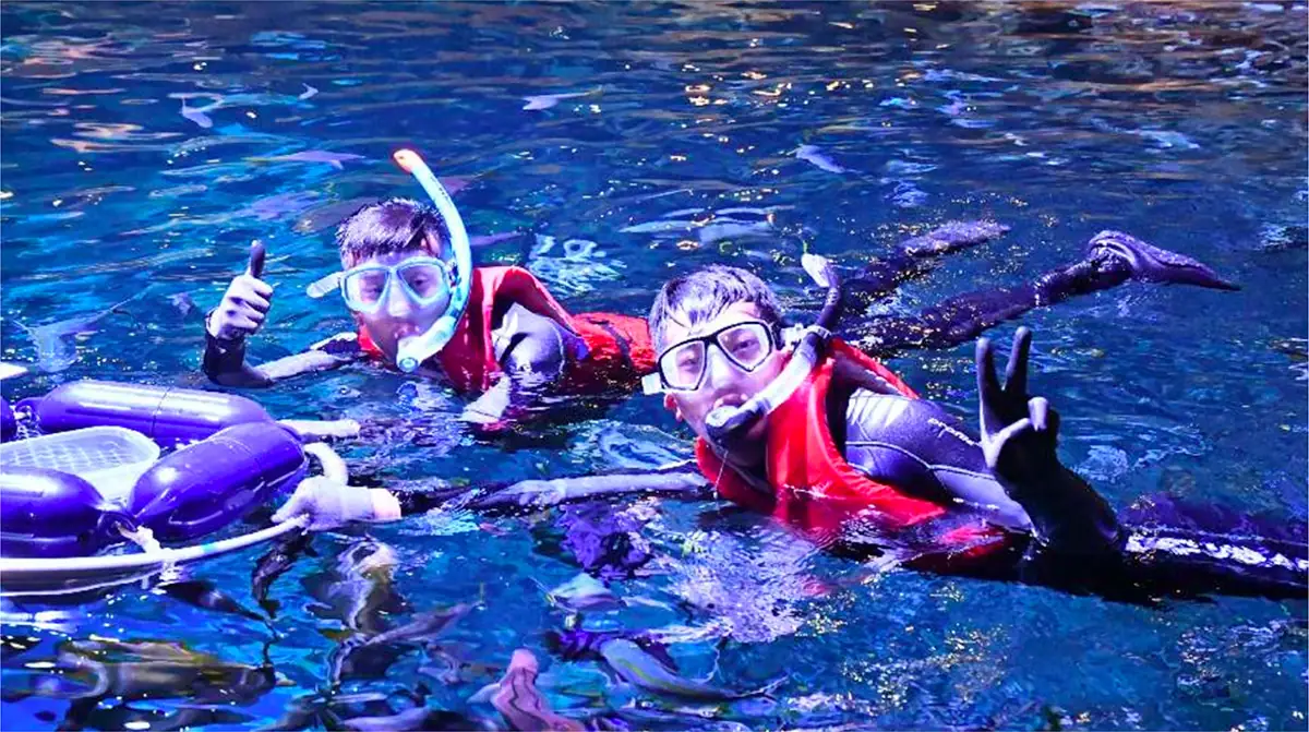 Guests photographed during an underwater experience